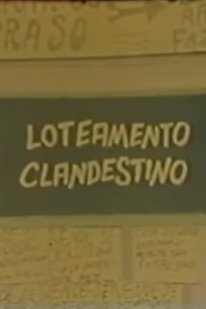 Loteamento Clandestino