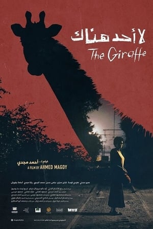 لا أحد هناك