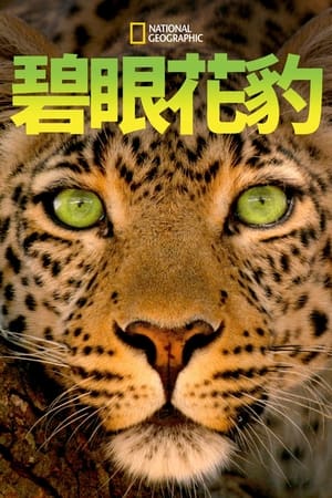 Jade Eyed Leopard