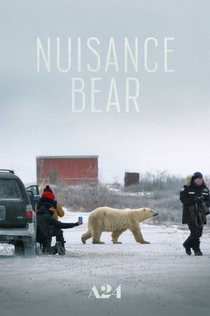 Nuisance Bear