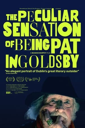 The Peculiar Sensation of Being Pat Ingoldsby