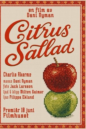 citrus sallad