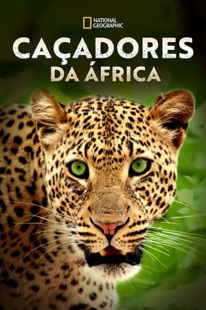 非洲猎手第2季