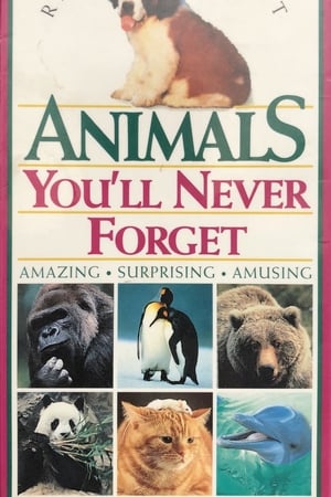 Animals You'll Never Forget
