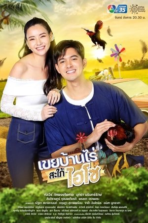 农家女婿千金媳妇