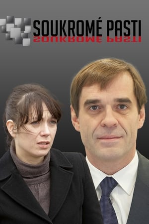 Soukromé pasti