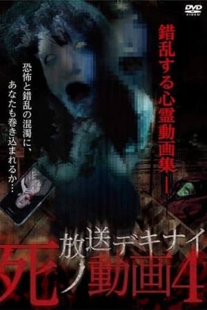 放送デキナイ死ノ動画4