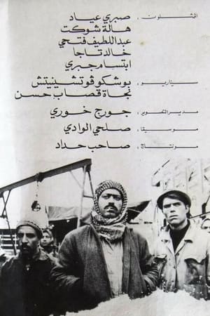 سائق الشاحنة