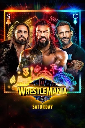 WWE 摔角狂热 41 第一赛日