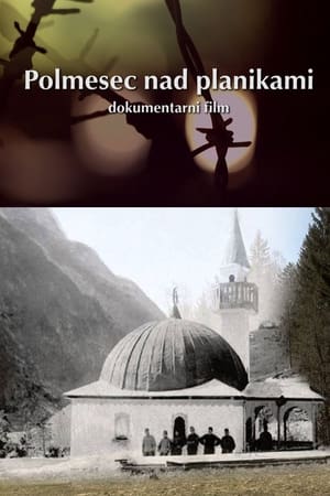 Polmesec nad planikami