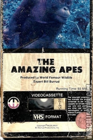 The Amazing Apes