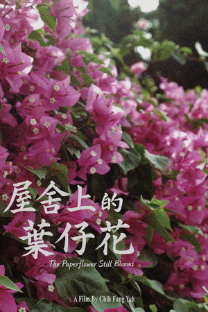 屋舍上的葉仔花
