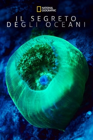 Il segreto degli oceani