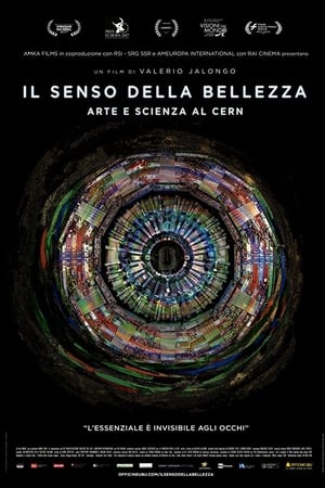 Il senso della bellezza - Arte e scienza al CERN