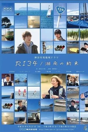 国道134/湘南的约定