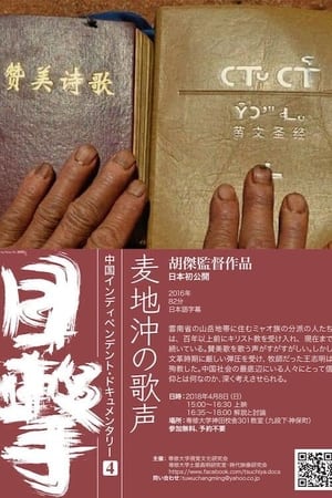 麦地冲的歌声