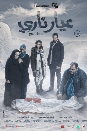 عيار ناري