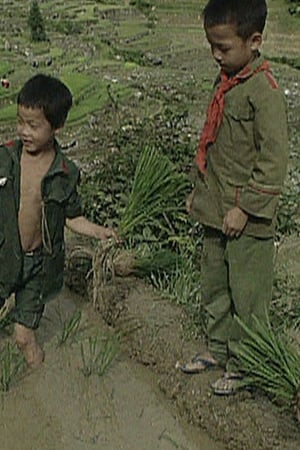龙脊