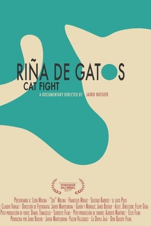 Riña de gatos