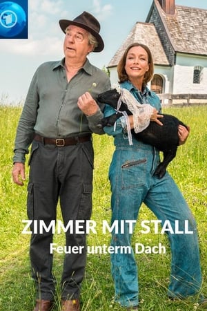 Zimmer mit Stall - Feuer unterm Dach