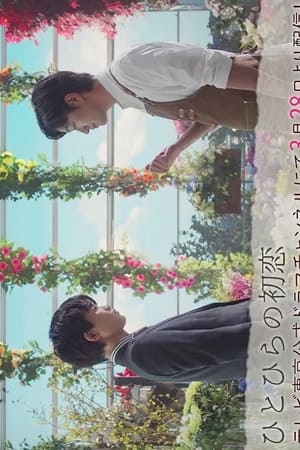 Hitohira no Hatsukoi