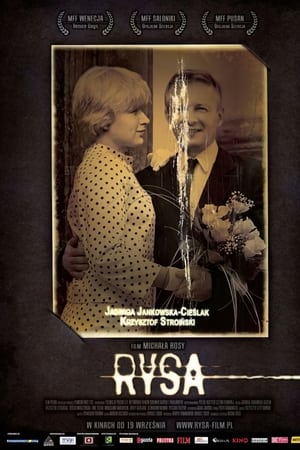 Rysa