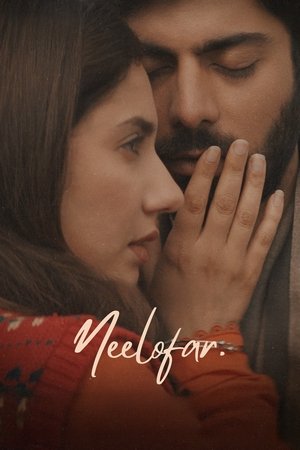 نیلوفر
