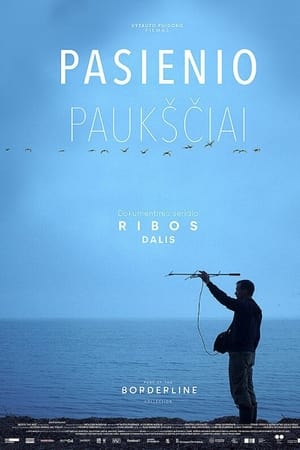 Pasienio paukščiai
