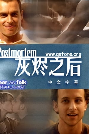 灰烬之后