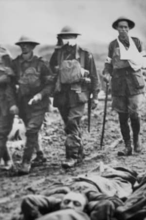 The Pity of War