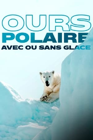 Ours polaire, avec ou sans glace ?