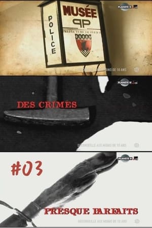 Des crimes presque parfaits第3季