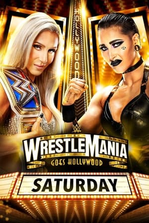 WWE 摔跤狂热 39 第一赛日