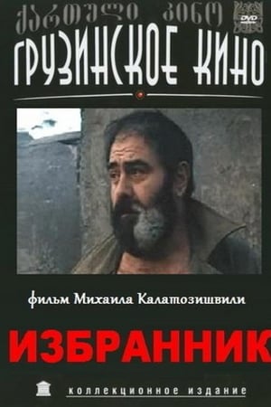 რჩეული