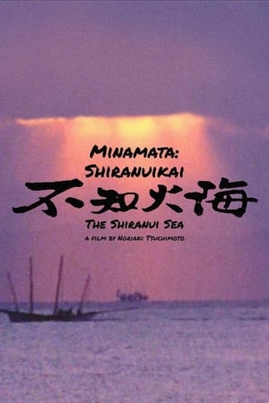 不知火海