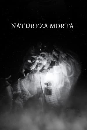 Natureza Morta