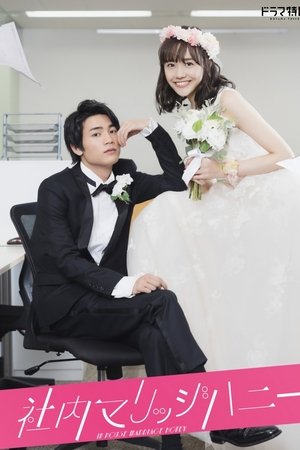 办公室的秘密新婚