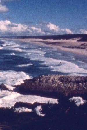 Ocean at Point Lookout