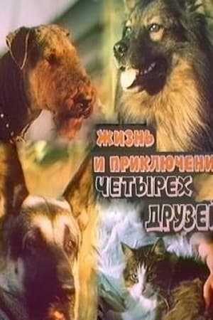 Zhizn' i priklyucheniya chetyrekh druzey