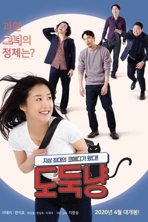 도둑냥