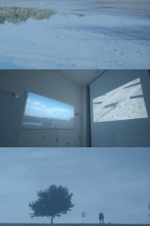 瑶響濤凮
