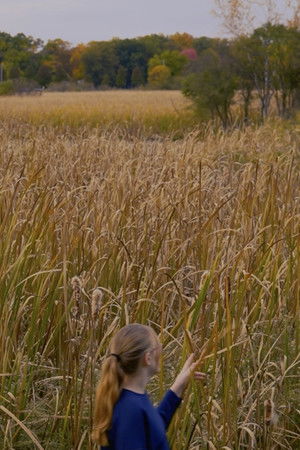 Wheat and Chaff