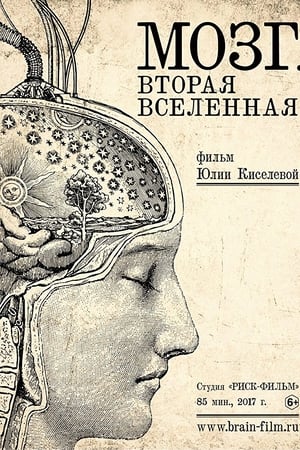 Мозг. Вторая Вселенная