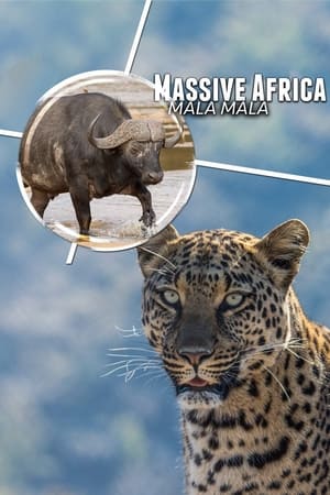 Massive Africa: Mala Mala