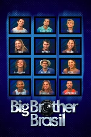 Big Brother Brasil第2季