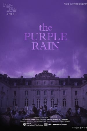 내 꿈은 컬러 꿈 #3 : the Purple Rain