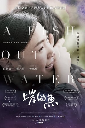 上岸的鱼