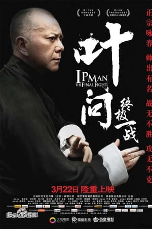 叶问：终极一战