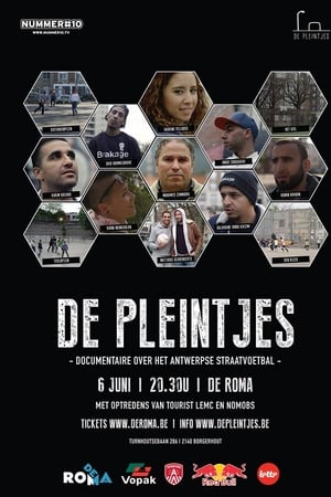 De pleintjes