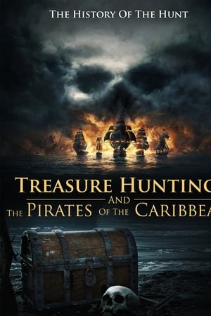 Treasure Hunting And The Pirates Of The Caribbean